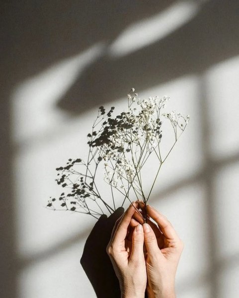 Эстетика грусти