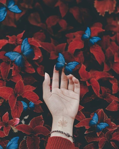 Эстетика розового и синего