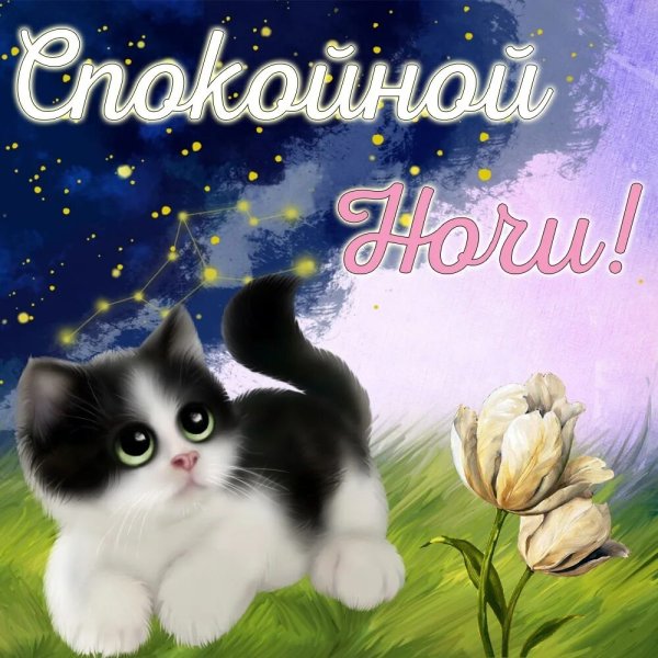 Доброй ночи