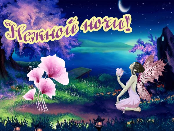 Пожелания спокойной ночи