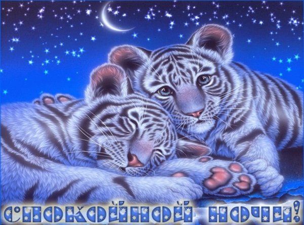 Мерцающие открытки спокойной ночи