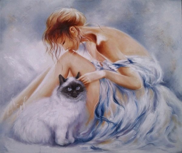 Willem Haenraets кошки