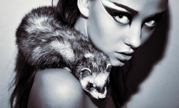 Фотосессия с хорьком