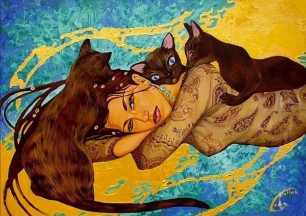 Галла Абдель Фаттах кошки