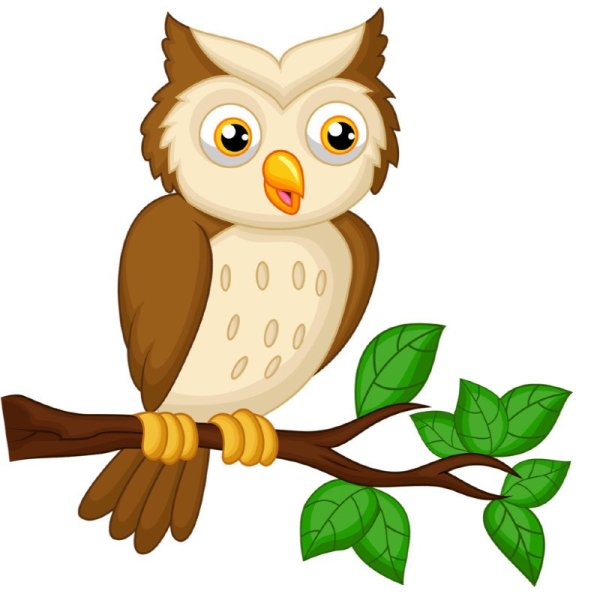 Сова мультяшный