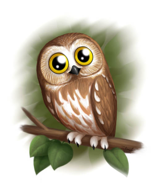 Сова иллюстрация для детей