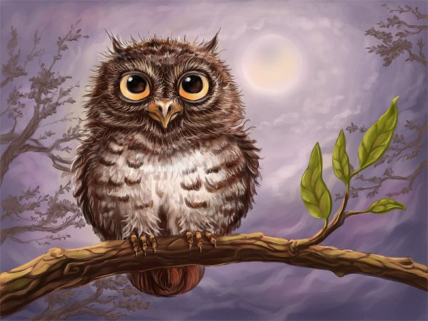 Сова мультяшная