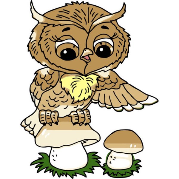 Сова для детей