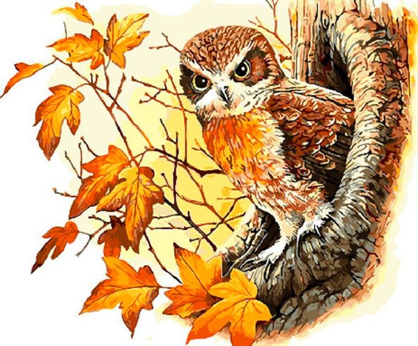 Сова мультяшная