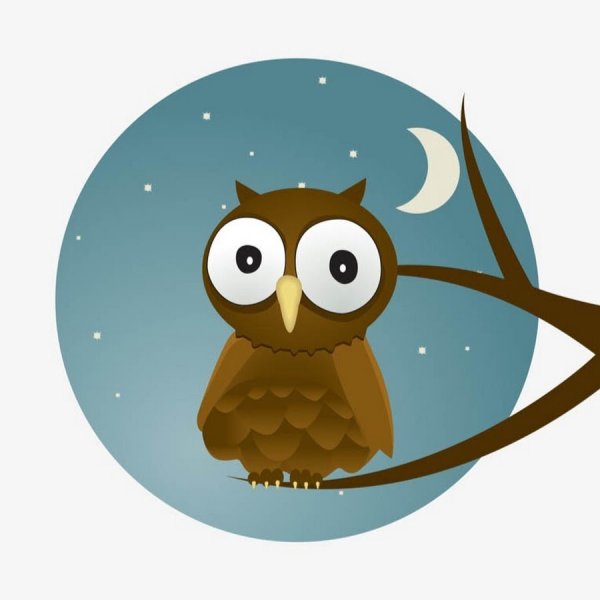 Ученая Сова