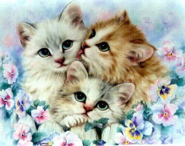 Алмазная мозаика Гранни коты