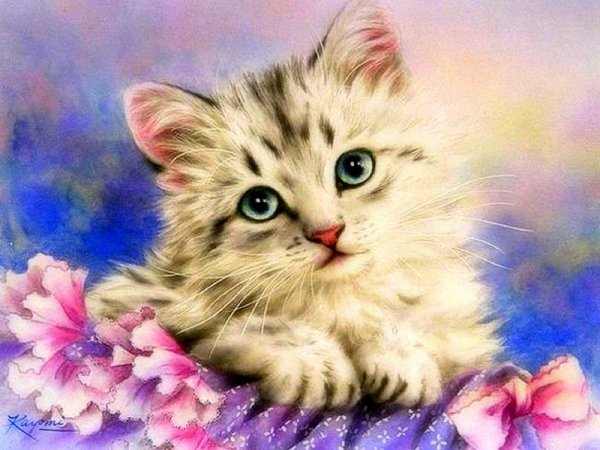 Kayomi Harai милые котята