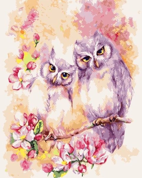 Красивые Совушки