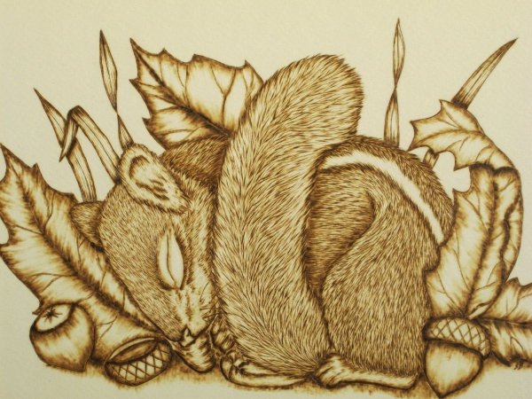 Изображения для выжигания по дереву