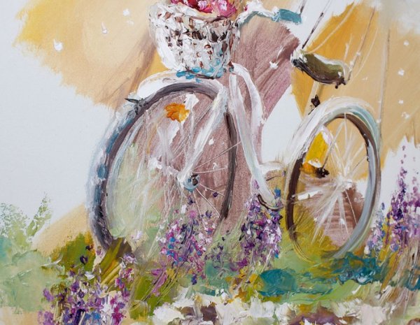 Аннет Логинова велосипед