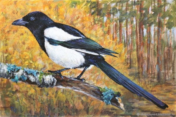 Сорока картина