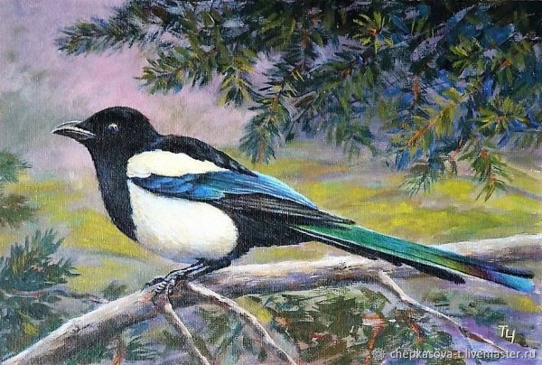 Сорока гуашью