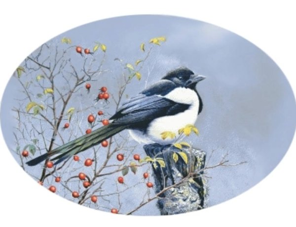 Пейзажи с сороками