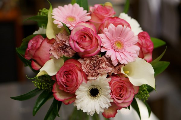 Шикарные цветы