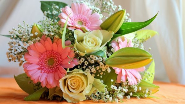 Красивые цветы