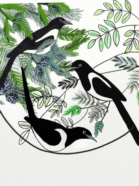 Стилизованный сороки