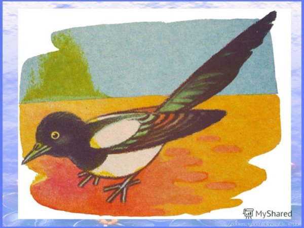 Малышам о Сороке