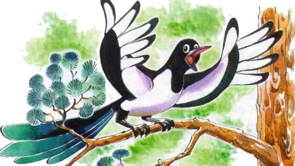 Сорока белобока мультяшная