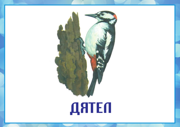 Зимующие птицы карточки для детей в детском саду