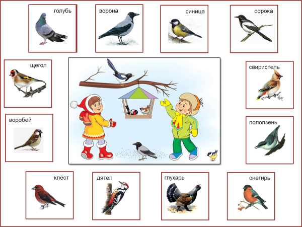 Детям о зимующих птицах в детском саду