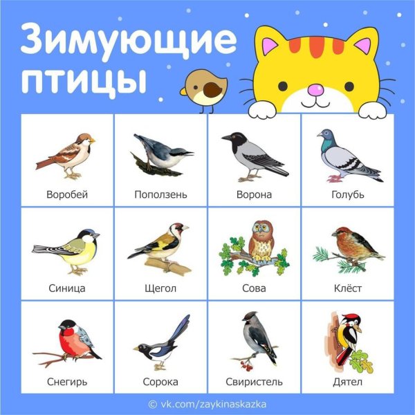 Лото перелетные и зимующие птицы
