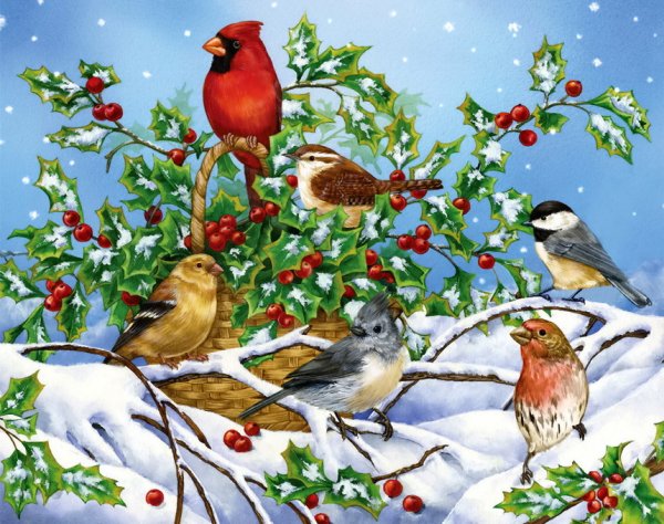 Зимние птицы