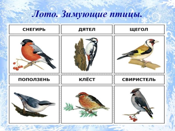 Лото зимующие птицы для детей