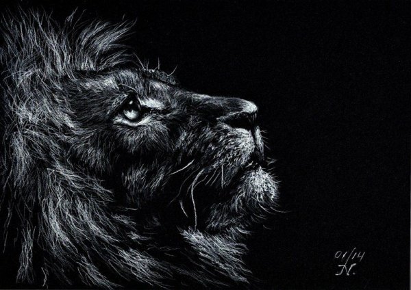 Граттаж Лев