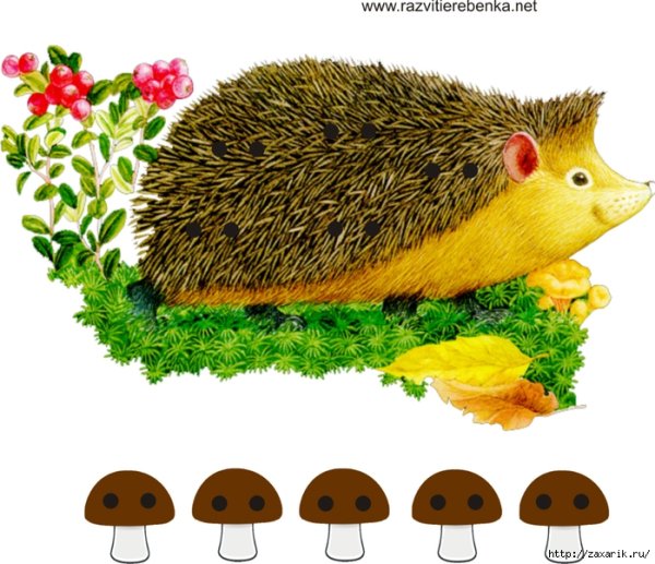 Еж для дошкольников