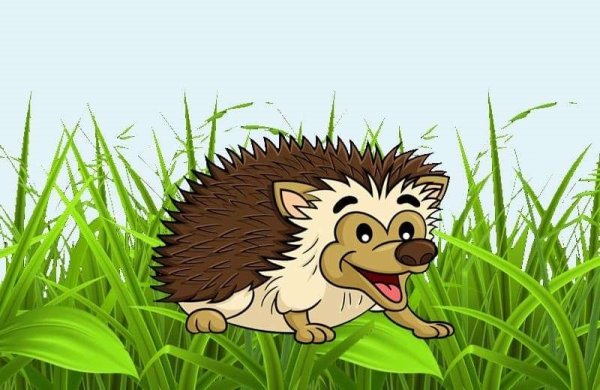 Ежик для детей