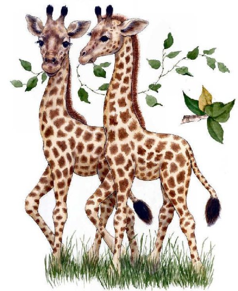 14749 Schleich Жираф, самец