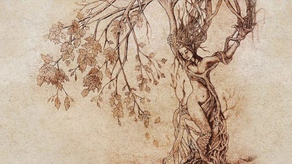 Девушка дерево