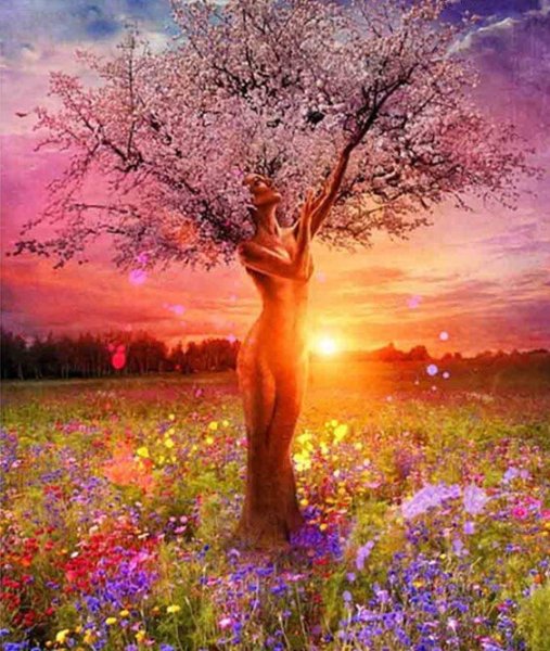 Девушка дерево