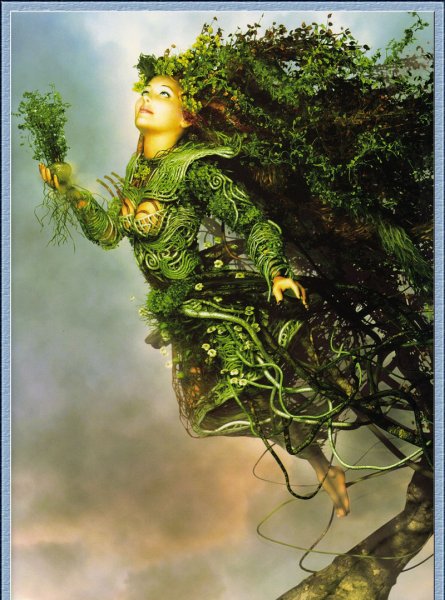 Девушка дерево