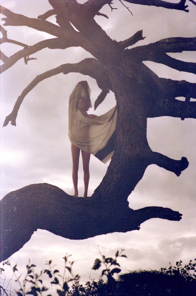 Женщина под деревом