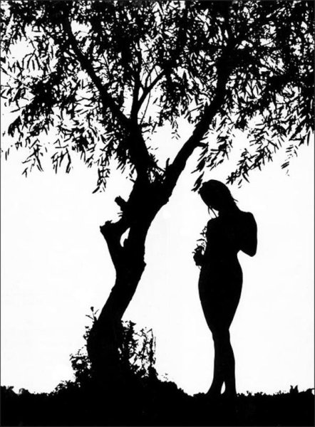 Странный силуэт