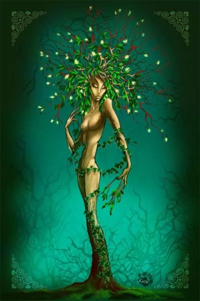 Дриады Гамадриады