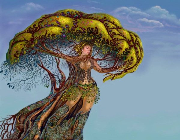 Дриады Гамадриады