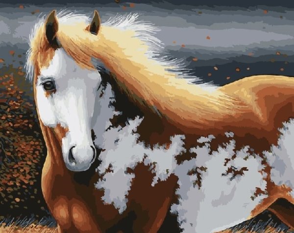Красивые картины лошадей