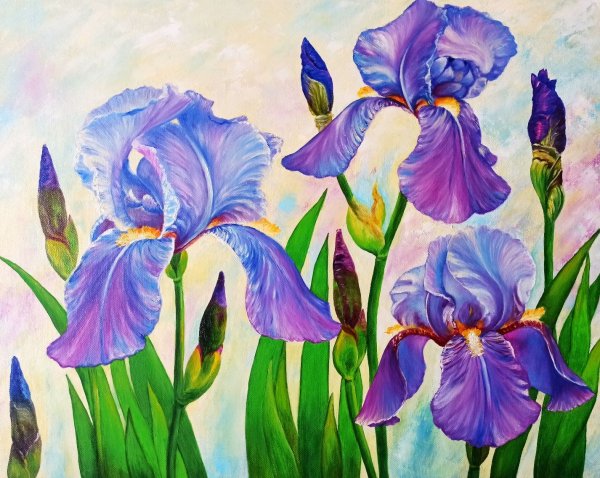 Ольга Базанова ирисы