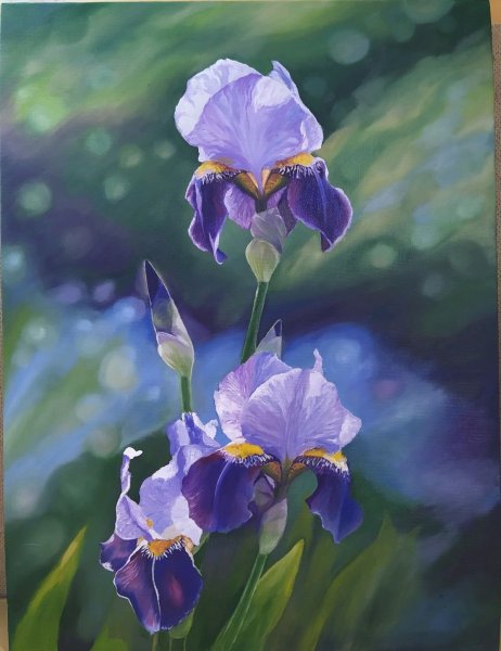 Сергей Андрияка ирисы