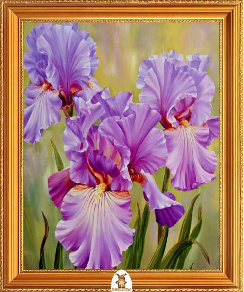 Ирисы художница Marianne Broome