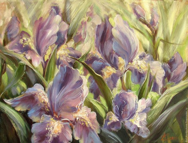 Элизабет Хорнинг ирисы