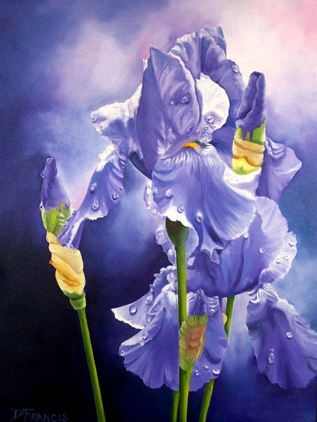 Олег Тимошин ирисы