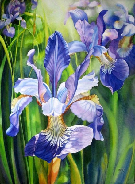 Дэрил Тротт ирисы